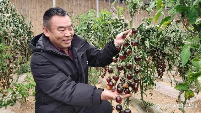 农业种植水果致富项目_致富经种植三种水果亩收入过亿_农村特色水果种植创业项目