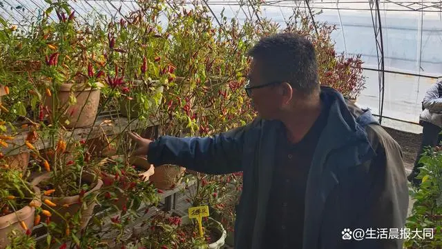 农业种植水果致富项目_致富经种植三种水果亩收入过亿_农村特色水果种植创业项目