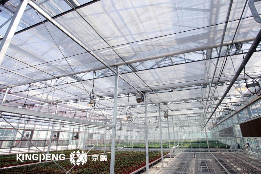 农业技术种植_种植农业技术有哪些_农业种植技术网站