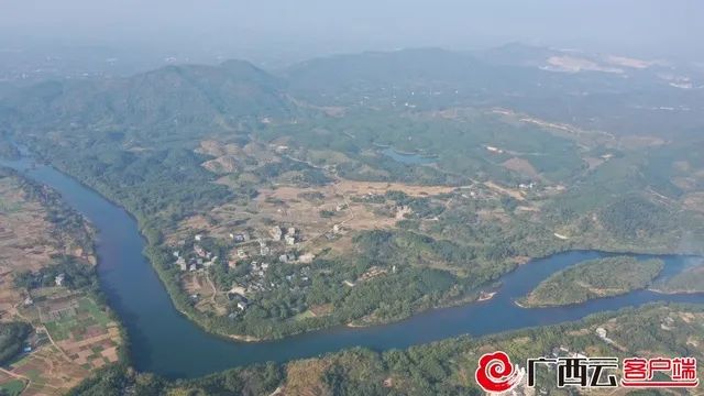 乡村振兴丨防城港市防城区：壮大特色产业　走出一条产业致富路