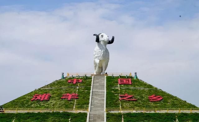 羊时代 | 建立科学体系科技助滩羊产业更“洋气”