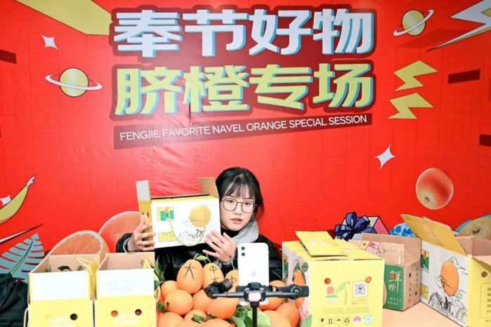 致富的脐橙种植_致富种植脐橙怎么样_种植脐橙收益怎么样