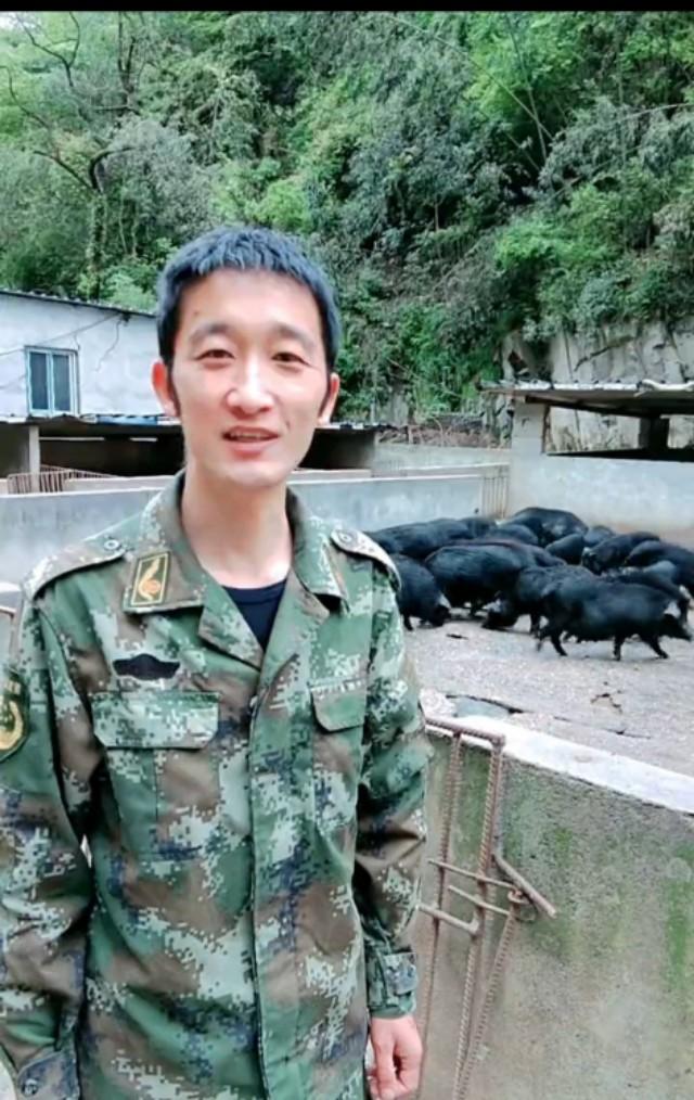 致富养殖藏香猪怎么样_致富养殖藏香猪好吗_致富经养殖藏香猪致富