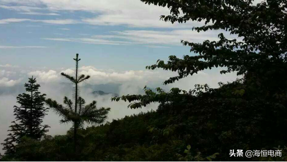 眉毛种植效果怎样_眉毛种植效果到底好不好_农村致富种植眉毛