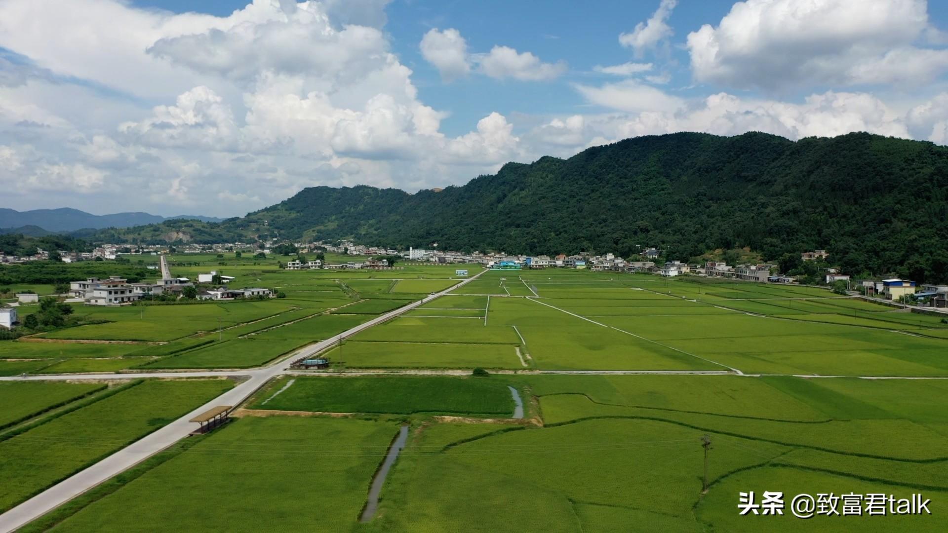 致富外国龙虾养小龙虾视频_致富经小龙虾养殖技术视频_致富经养外国小龙虾