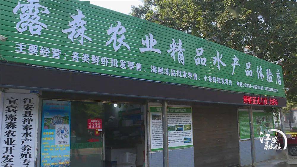 福建虾养殖基地_致富经福建养虾_致富经养殖虾