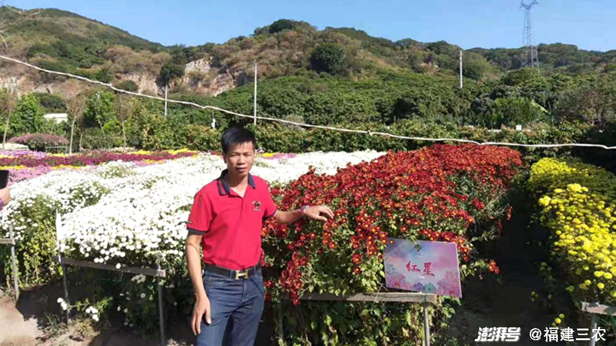 农村实用人才带头人丨刘宗富：潜心绘制现代农业图景