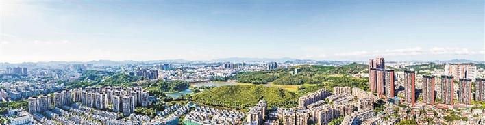 龙华区观湖街道做好企业服务基础工作，打造优质营商环境