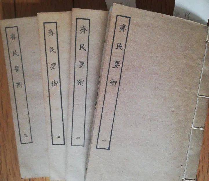 章丘大葱种子怎么种_章丘大葱怎么栽_章丘大葱种植技术视频