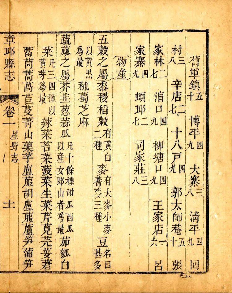 章丘大葱种子怎么种_章丘大葱怎么栽_章丘大葱种植技术视频