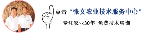 水稻种植施肥技术_水稻施肥种植技术视频_水稻施肥种植技术要点