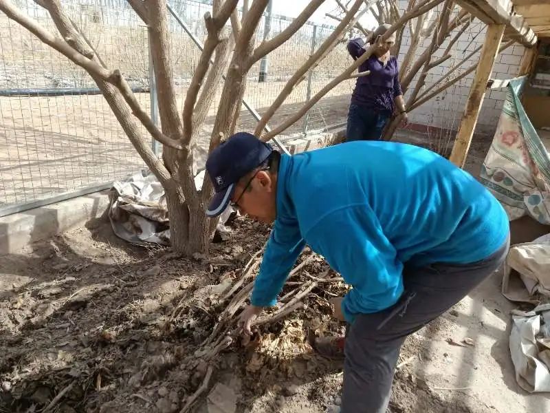 昌吉市养殖羊致富的人_昌吉养羊养殖基地_昌吉州种公羊养殖基地