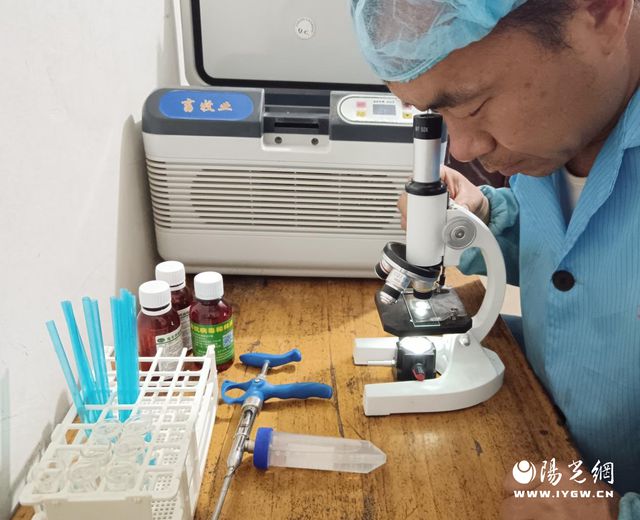 养殖林蛙赚钱吗_致富经养殖林蛙_致富养殖林蛙视频
