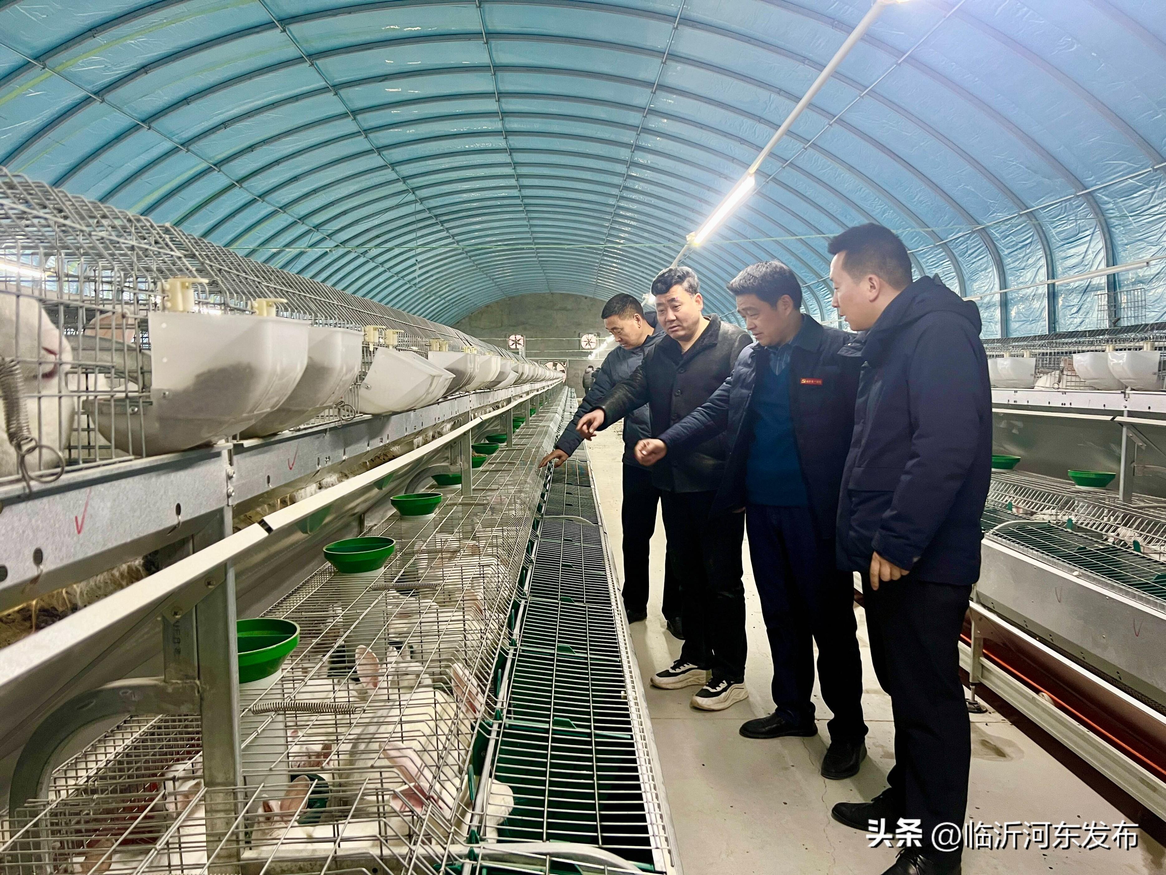 致富经养植皮毛类动物_皮毛养殖场_致富皮毛动物类养植有哪些