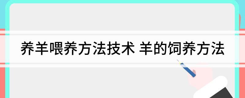 养羊喂养方法技术
