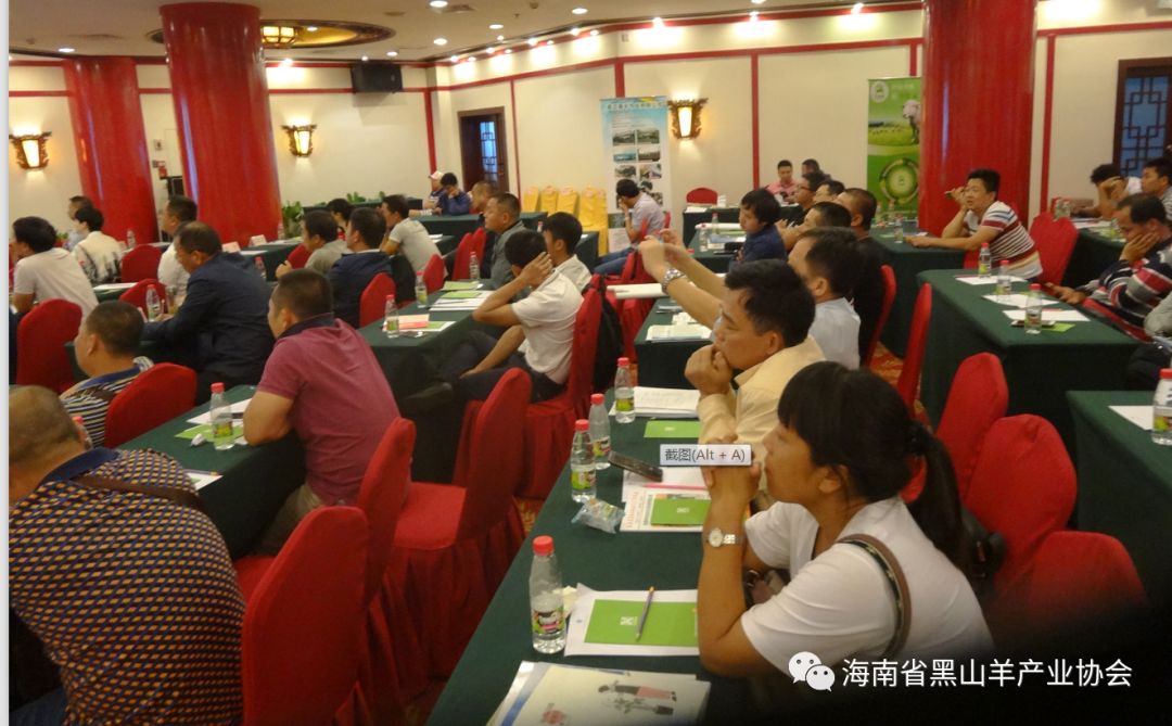 海南黑山羊视频_海南圈养黑山羊_致富经海南黑山羊