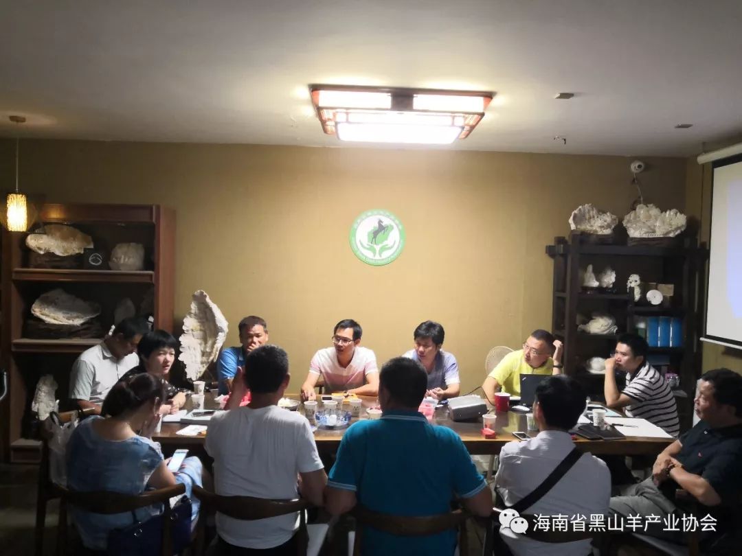 海南圈养黑山羊_海南黑山羊多少钱一只_致富经海南黑山羊