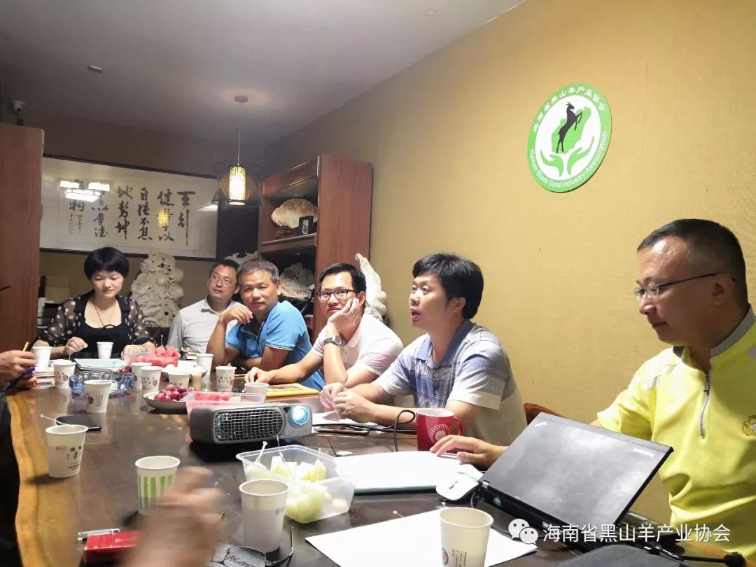 海南黑山羊多少钱一只_海南圈养黑山羊_致富经海南黑山羊