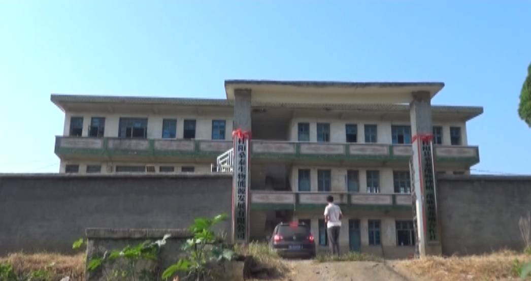 蚕养殖环境_蚕养殖户_海蚕养殖技术