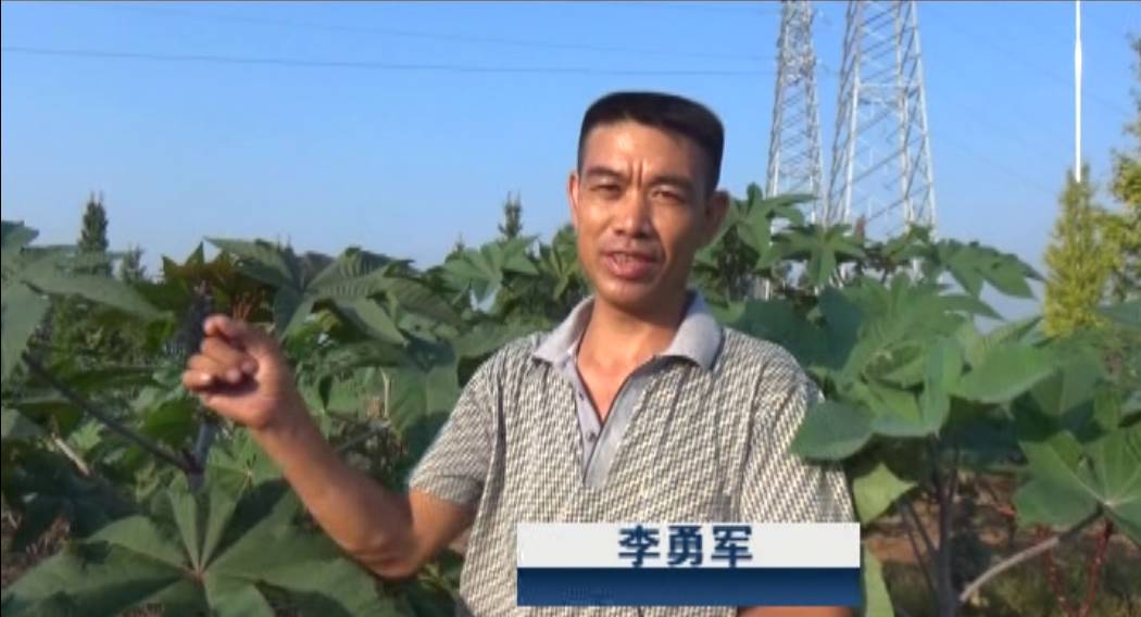 海蚕养殖技术_蚕养殖环境_蚕养殖户