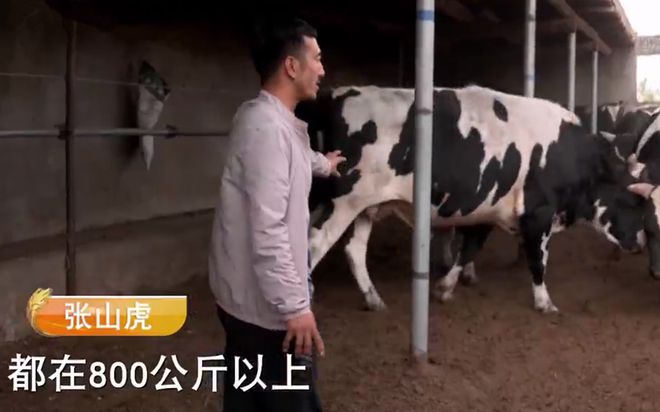 蚯蚓养殖致富故事_致富养殖蚯蚓故事简介_致富养殖蚯蚓故事大全