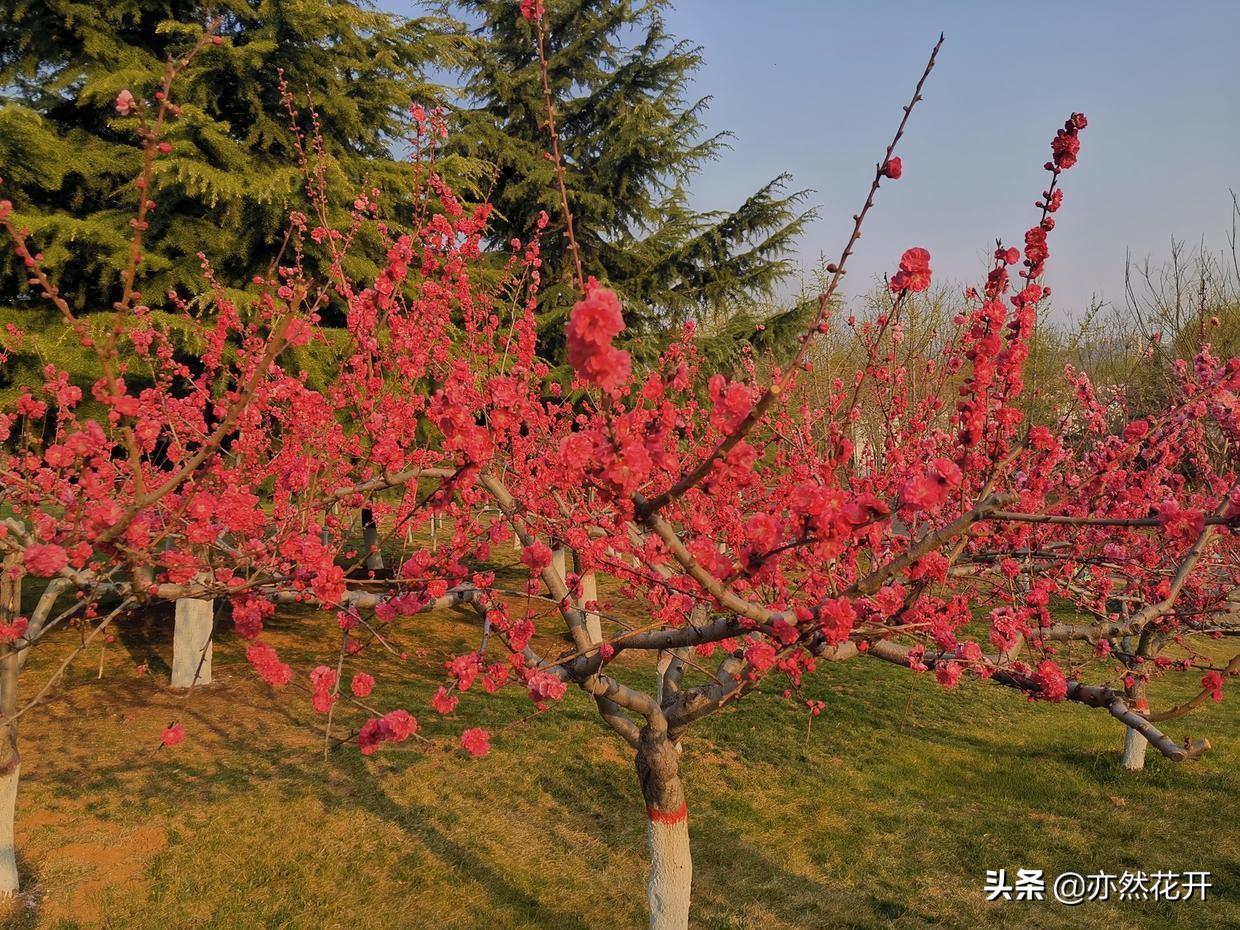 优质问答是啥_问答优质经验100字_优质问答的100个经验