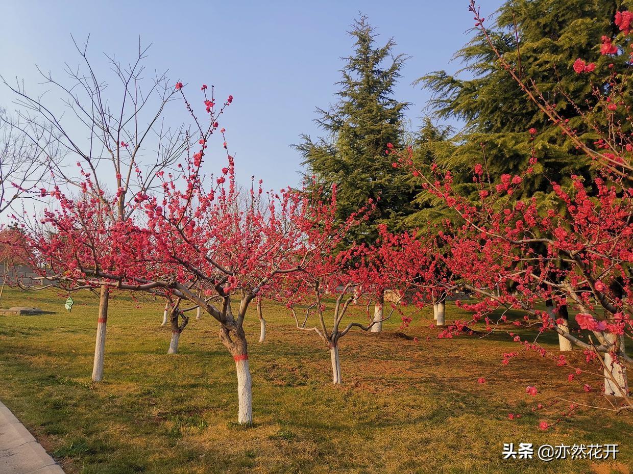 优质问答是啥_优质问答的100个经验_问答优质经验100字