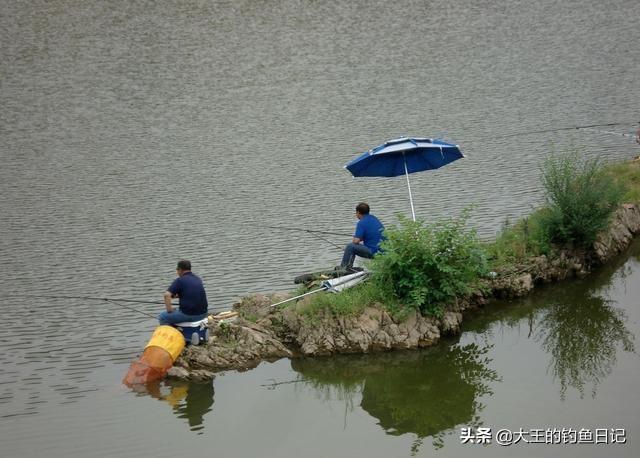 淡水乌鱼养殖技术_乌鱼养殖技术视频_乌鱼养殖水深要求