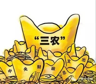 致富经农业种植_致富陷阱种植农业视频_农业种植致富陷阱