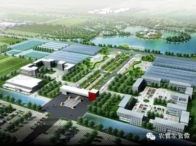 农业种植致富陷阱_致富经农业种植_致富陷阱种植农业视频