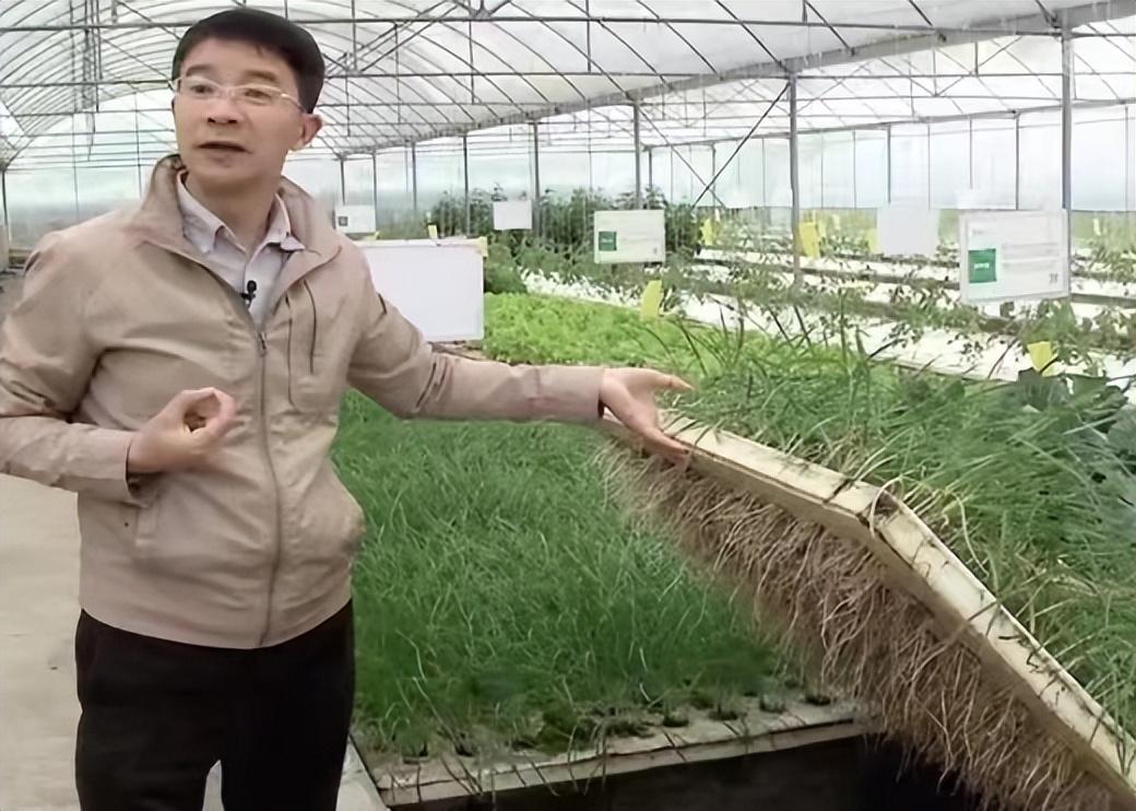 视频致富全集养草鱼下载_致富经养草鱼全集视频_致富经养草鱼一年提升50