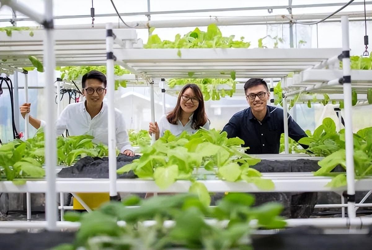 致富经养草鱼全集视频_致富经养草鱼一年提升50_视频致富全集养草鱼下载