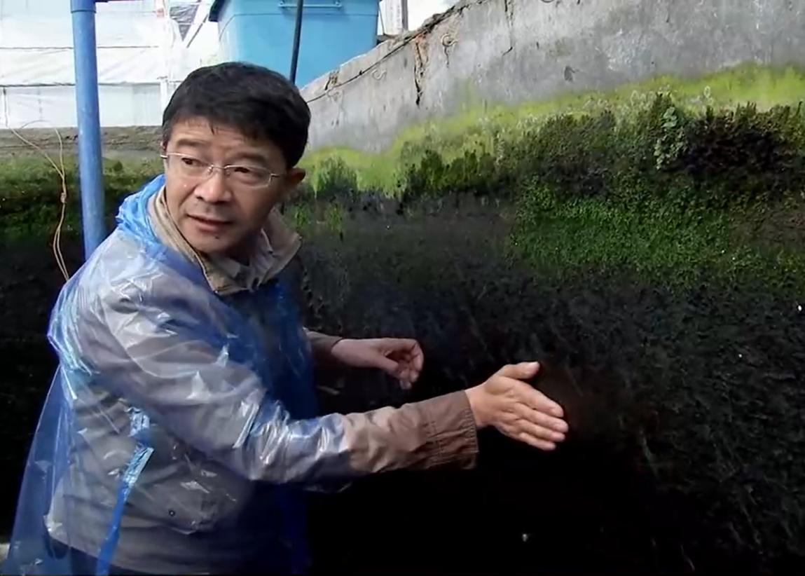 致富经养草鱼全集视频_视频致富全集养草鱼下载_致富经养草鱼一年提升50