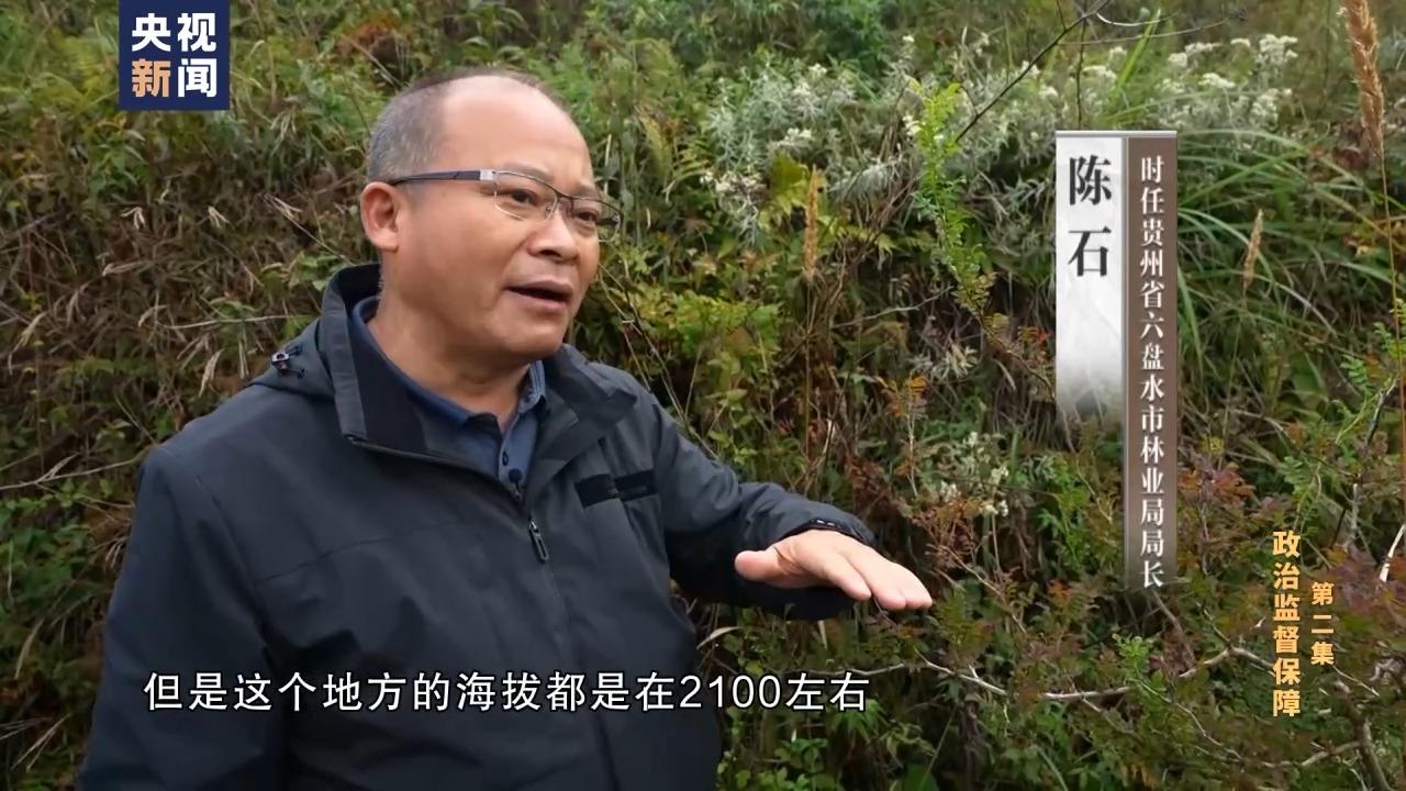 刺梨的骗局_致富经 刺梨_刺梨价格是多少