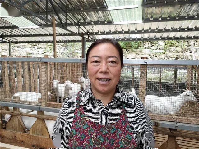 在家里养殖致富_致富养殖好项目大全_家庭养殖致富项目有哪些