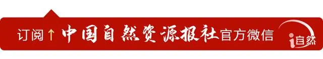 借鉴优质村庄规划经验分享_村庄规划经验做法_优秀村庄规划案例
