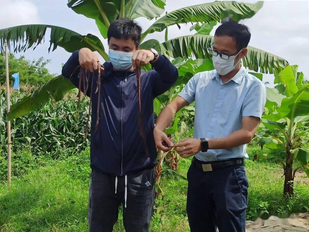 养殖蚯蚓致富故事_致富养殖蚯蚓故事大全_致富经蚯蚓养殖视频播放