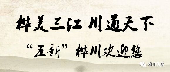 鹅养殖致富_鹅养殖项目_养鹅致富经