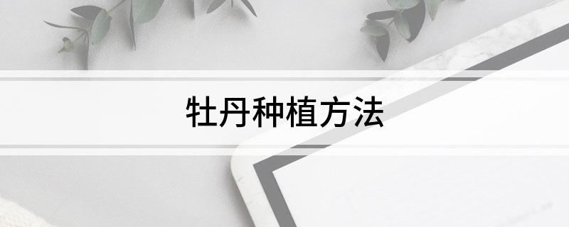 牡丹种植方法