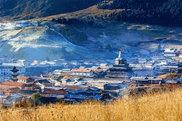 “戈壁西瓜”：年营收20多亿的硒砂瓜，为何被局部禁种了？