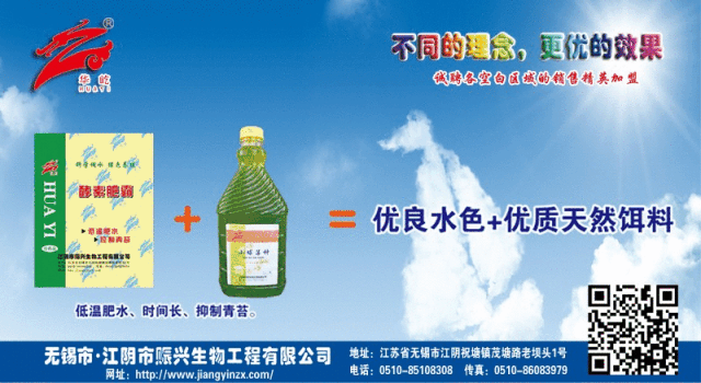 新形势下南美白对虾该怎养？孙成波教授最新研究成果首次公开！