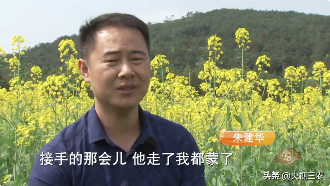 致富经cctv几_致富经_刀鳅养殖cctv致富