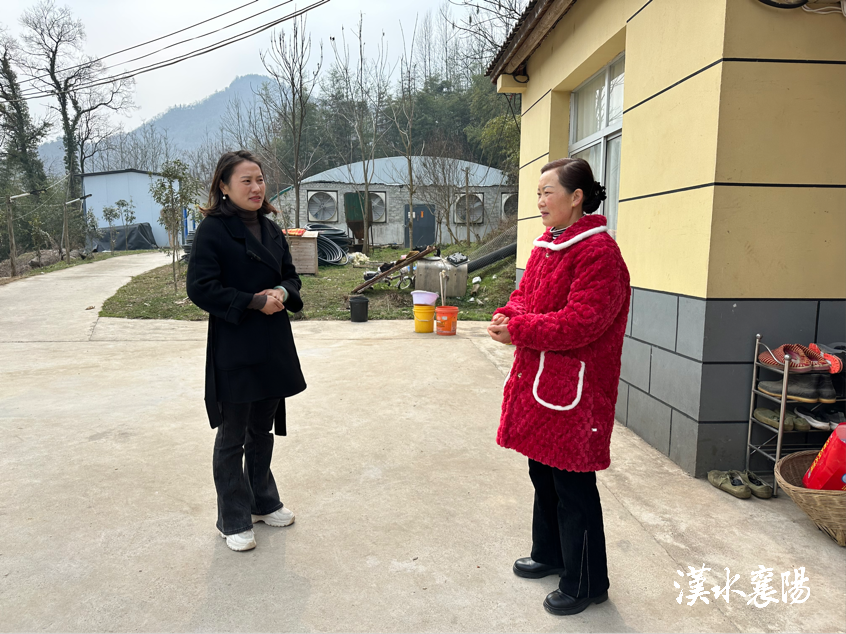 女人养猪致富经视频_女人养猪致富经_致富养猪女人视频