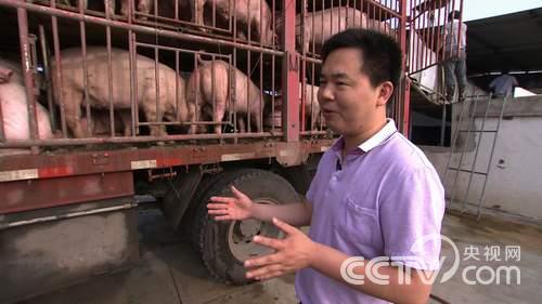 [致富经]大学老师去养猪(20141021)