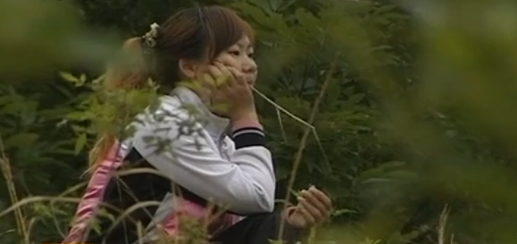女人养猪致富经视频_女人养猪致富经_致富养猪女人图片