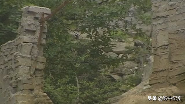 致富经说季红霞野猪_致富经20161227养野猪_致富经特种野猪