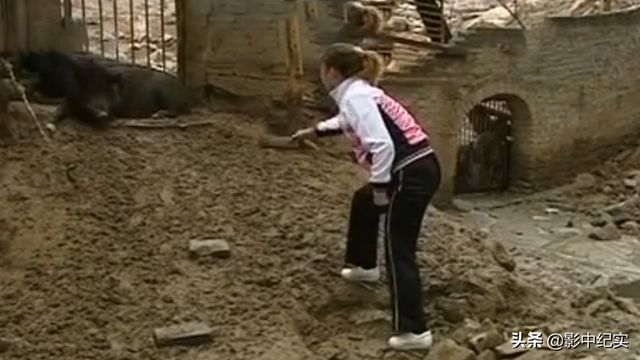 致富经特种野猪_致富经说季红霞野猪_致富经20161227养野猪