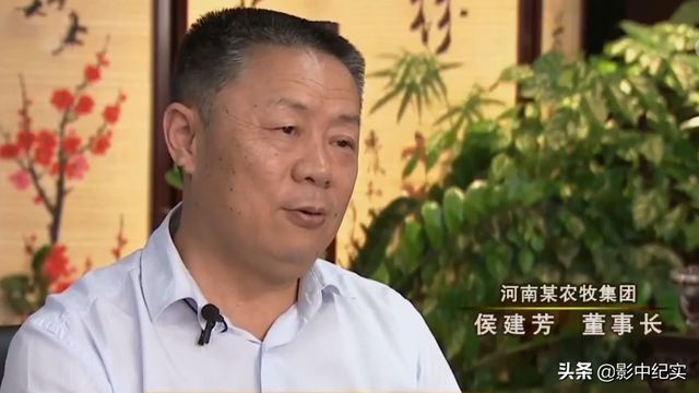 致富经说季红霞野猪_致富经特种野猪_致富经20161227养野猪