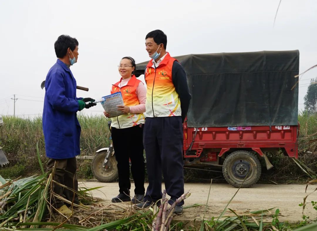 致富种植农民特色农产品_农民特色种植致富_农民致富种植项目