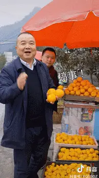 致富经记者肖婷婷照片_致富经记者肖婷婷照片_致富经记者肖婷婷照片